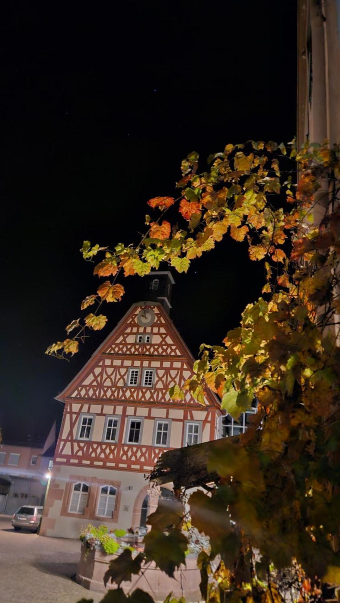 Brunnenputzer Pension Restaurant Kulsheim Екстериор снимка